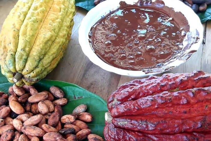 Cacao Tour from Medellín: Farm-to-Chocolate and Waterfall Day Trip photo 3