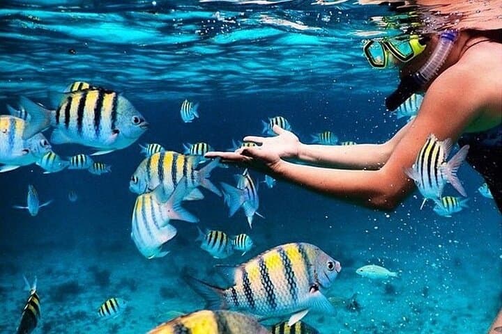 Explore Key Largo’s Vibrant Coral Reefs and Hidden Sandbars: A Private Snorkeling Adventure