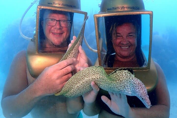 Hartley Helmet Diving: Walk Bermuda's Shallow Reefs for Up-Close Fish Encounters photo 6