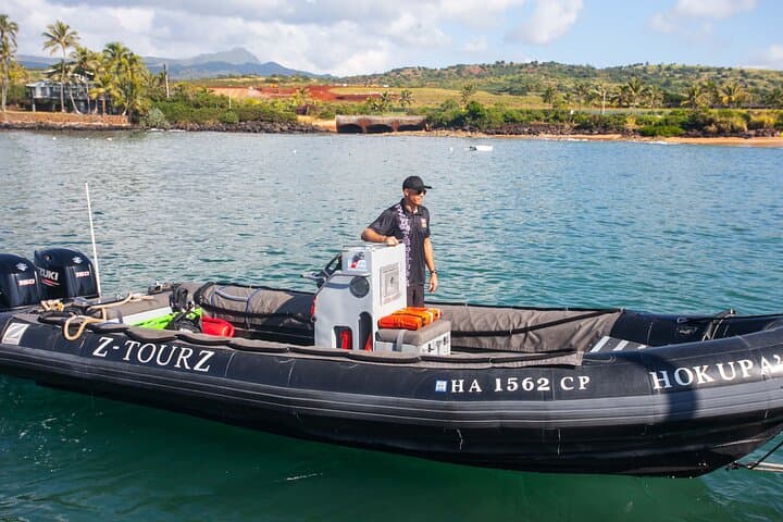 West Kauai Zodiac Whale & Dolphin Adventure — High-Speed Whale Watching photo 2