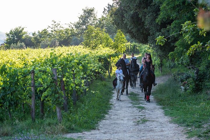 Horseback Riding and Tuscan Picnic in Val d'Orcia and Valdichiana photo 3