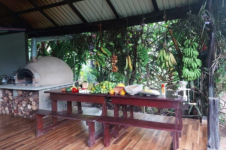 Twilight Tortilla Class & Frog-Watching Near La Fortuna — Night Rainforest Experience photo 4