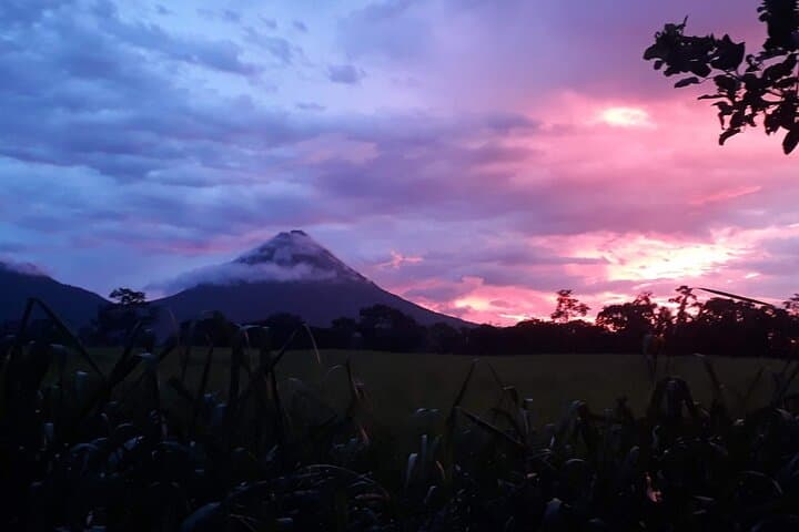 Twilight Tortilla Class & Frog-Watching Near La Fortuna — Night Rainforest Experience photo 2