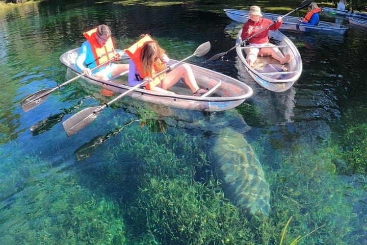 Clear Kayak Manatee Ecotour in Crystal River — Paddle with Manatees in Crystal-Clear Water photo 3