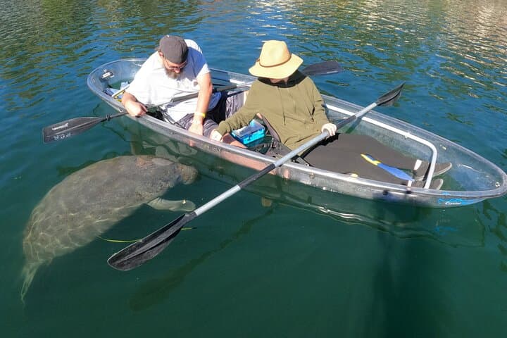 Clear Kayak Manatee Ecotour in Crystal River — Paddle with Manatees in Crystal-Clear Water photo 5