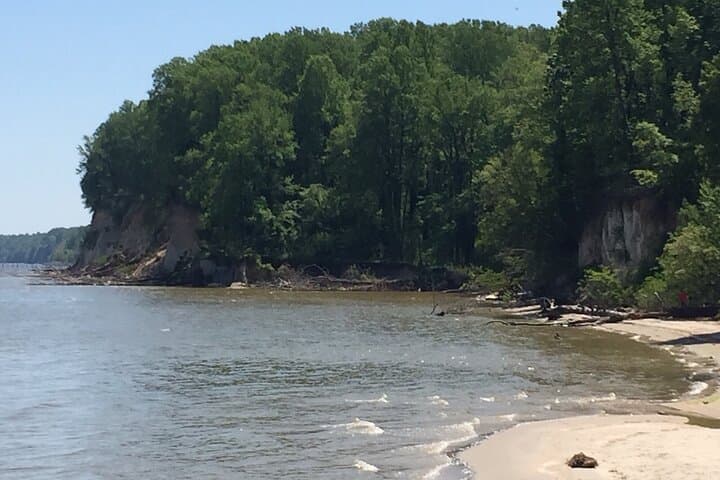 Chesapeake Beach Cliffs Guided Walk: Boardwalk Views & Railway Museum photo 5