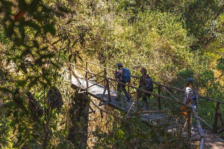 Short Inca Trail 2-Day Hike to Machu Picchu via Wiñay Wayna photo 6