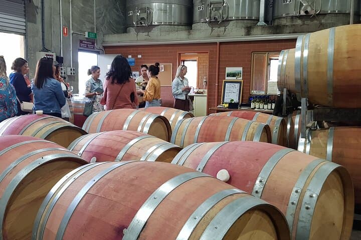Margaret River Hidden-Gems Wine Tour: Farms, Scones & Boutique Wineries photo 5