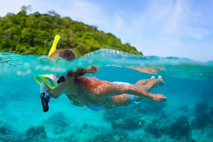 East Discovery Tour Mauritius — Bois Chéri Tea, Blue Bay Snorkel & Mahebourg History photo 4