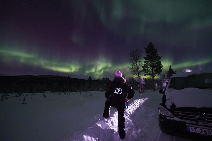 Alta Northern Lights Tour: Small-Group Aurora Chase on the Altafjord photo 3