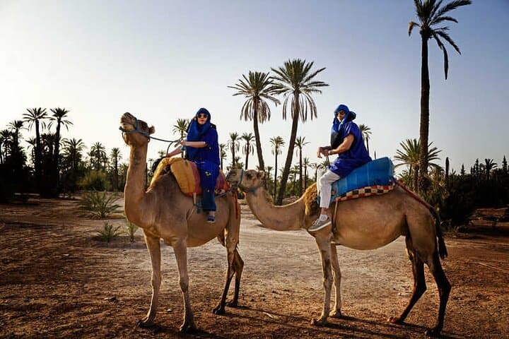 Camel Ride Through Marrakech's Palmeraie: 2-Hour Palm Grove Experience photo 4