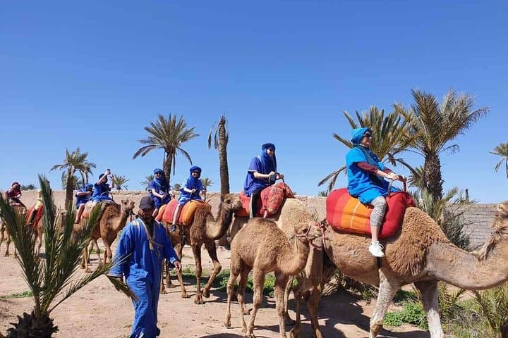 Camel Ride Through Marrakech's Palmeraie: 2-Hour Palm Grove Experience photo 6