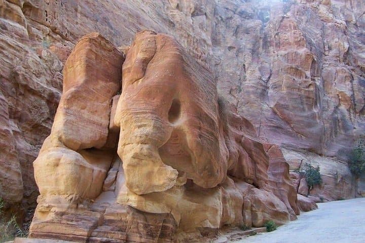 Petra and Wadi Rum in a Day: Private Tour from the Dead Sea photo 4