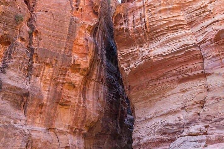 Petra and Wadi Rum in a Day: Private Tour from the Dead Sea photo 3
