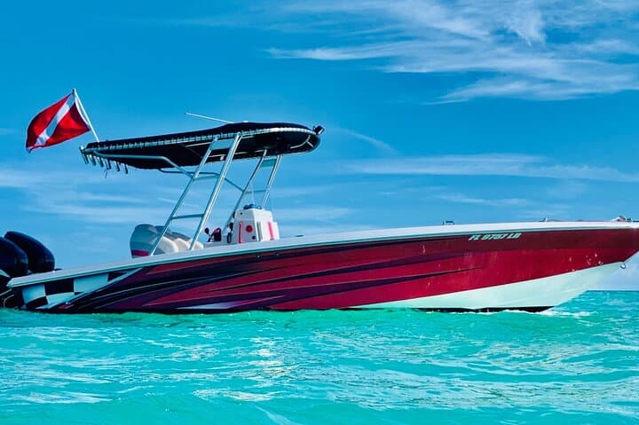 Explore Key Largo’s Vibrant Coral Reefs and Hidden Sandbars: A Private Snorkeling Adventure photo 4