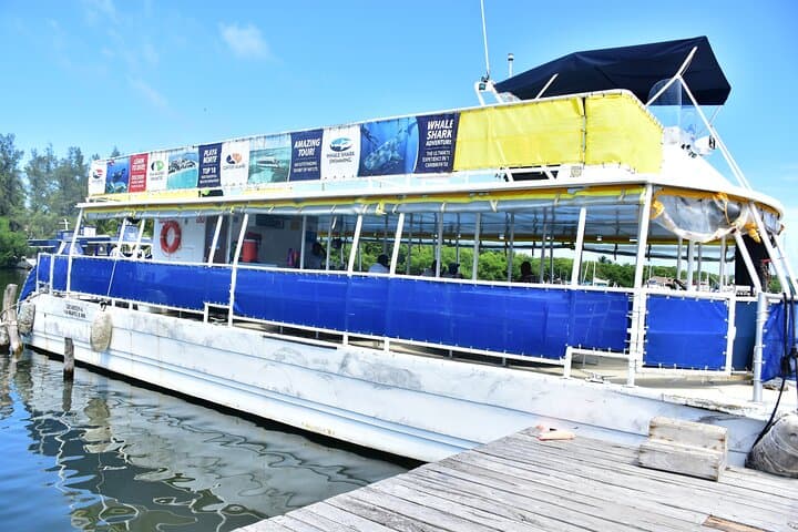 Contoy Island Day Trip from Cancun & Playa del Carmen: Snorkel, Birds, and Protected Beaches photo 4