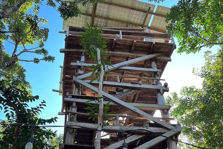 Tulum ATV & E-Bike Cenote Tour: 2 Cenotes, Snorkel and Jungle Cantina Lunch photo 6