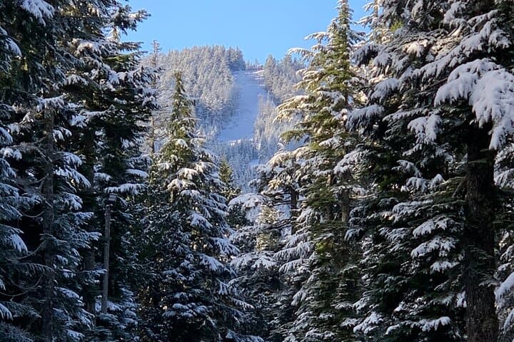 Snowshoeing Vancouver's North Shore: Cypress Mountain Winter Day Trip photo 6