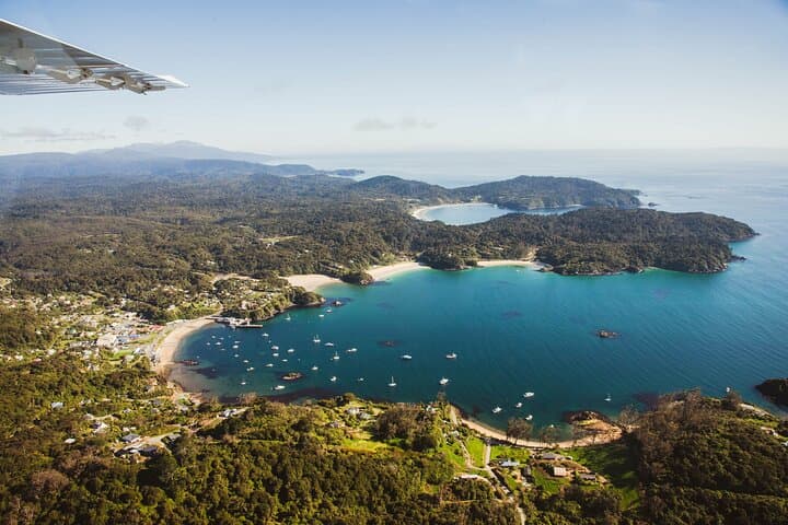 Stewart Island Day Flight from Queenstown — Fly, Explore and Birdwatch Rakiura