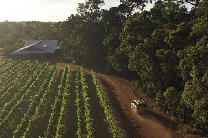 Margaret River Hidden-Gems Wine Tour: Farms, Scones & Boutique Wineries photo 4