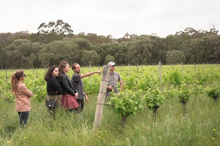 Margaret River Wine, Coffee & Boranup Forest Day Tour photo 2