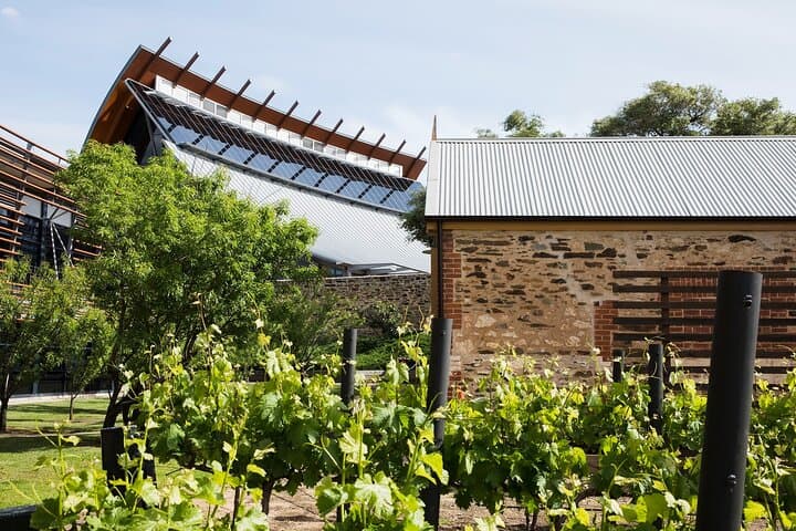 Ultimate Adelaide & Hahndorf Day Tour: City Sights, Mount Lofty Views and Historic German Village photo 4