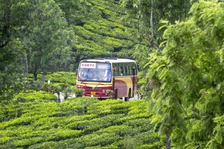 Munnar Day Trip from Kochi: Tea Gardens, Waterfalls & Mattupetty Dam photo 4