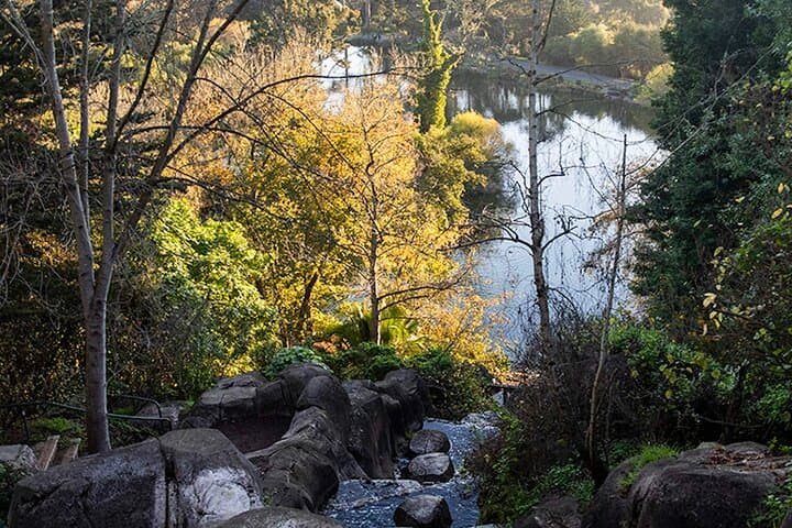 Explore Golden Gate Park: San Francisco Chronicle Self-Guided Audio Tour photo 5