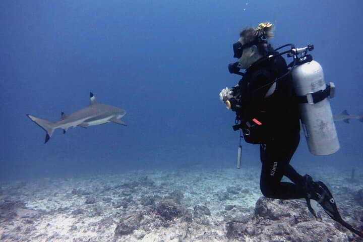 Denarau Marina 2-Tank Guided Dive: Mamanuca Reefs & Marine Life photo 3