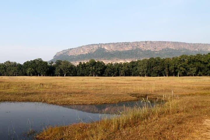Tiger, Temple & Taj: 11-Day India Safari and Heritage Circuit photo 3