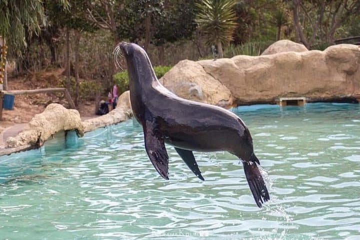Private Friguia Park & Hammamet Medina Excursion from Tunis — Wildlife Park Visit photo 2
