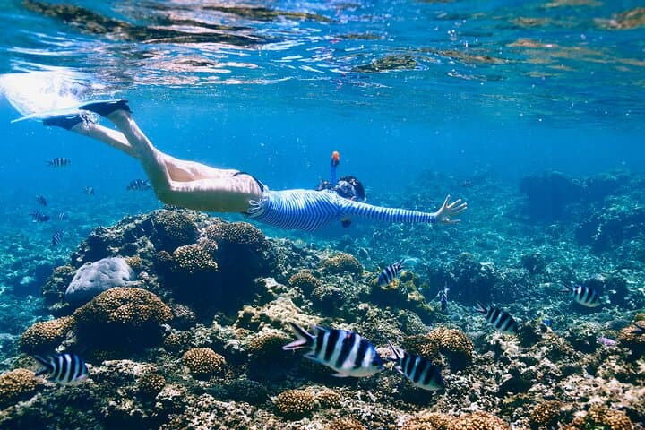 Puerto Morelos Reef Snorkel, ATV & Zipline Day Trip with Cenote Swim