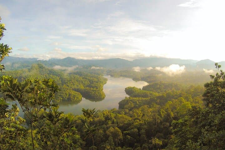 Manu Cultural Zone 4-Day Rainforest Lodge and Wildlife Expedition photo 3