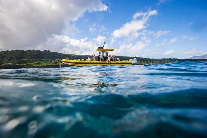 Cage-Less Shark Dive on Oahu's North Shore: Open-Ocean Encounters in Haleiwa photo 6