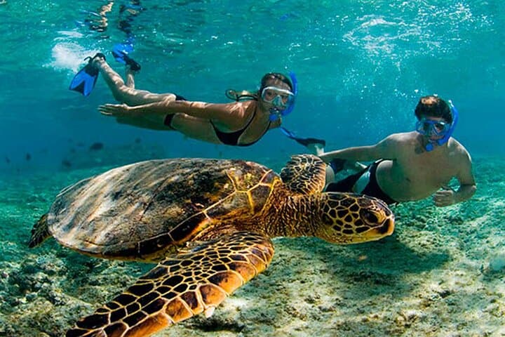 tulum-akumal-turtles-cenote-day-trip-from-cancun photo 2
