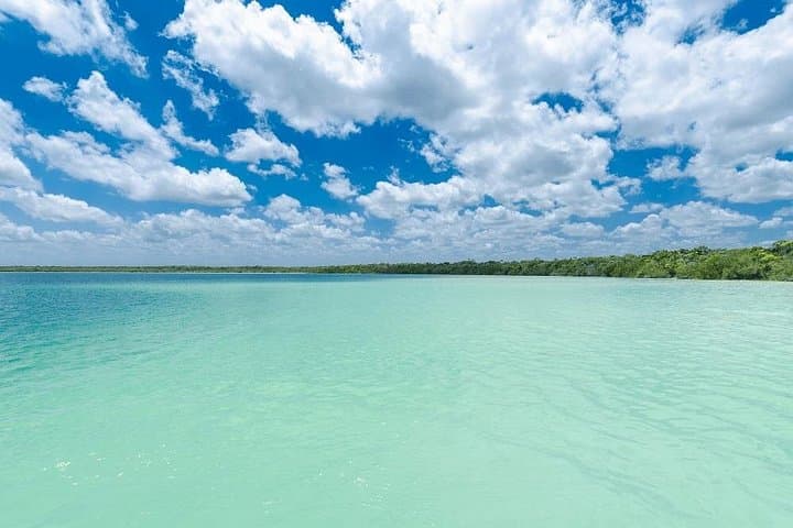 Riviera Maya Eco Adventure: 3 Cenotes & Kaan Luum Lagoon from Cancun photo 5