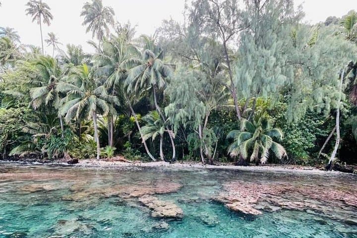 Teahupoo & Tahiti Peninsula Half-Day Boat Tour — Wave Watching, Snorkel & River Walk photo 3