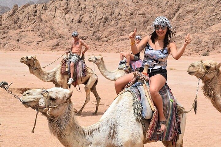 Sinai Desert Bedouin Stargazing & Dinner: Evening Camp Experience photo 5