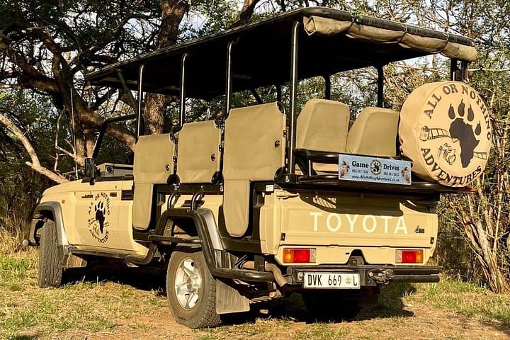Full-Day Private Open Safari in Kruger National Park from Hoedspruit photo 3