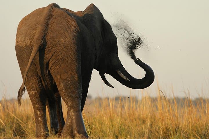 Full-Day Private Open Safari in Kruger National Park from Hoedspruit photo 2