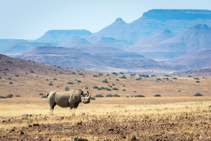 10-Day Namibia Guided Camping: Etosha, Sossusvlei & the Skeleton Coast photo 5