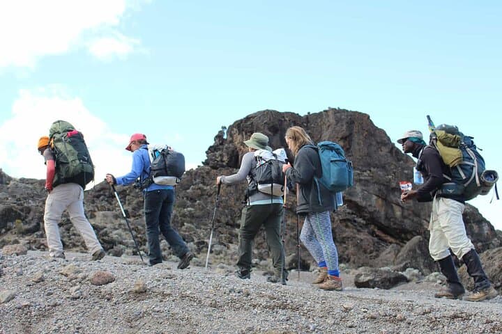 10-Day Machame Route Kilimanjaro Climb — Complete Guide & What to Expect photo 3