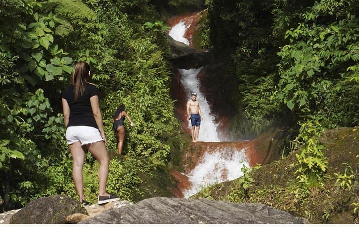 Miravalles & Tenorio Private Tour: Sloths, Waterfalls, Hanging Bridges & Mud Baths photo 4