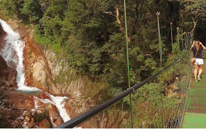 Miravalles & Tenorio Private Tour: Sloths, Waterfalls, Hanging Bridges & Mud Baths photo 3