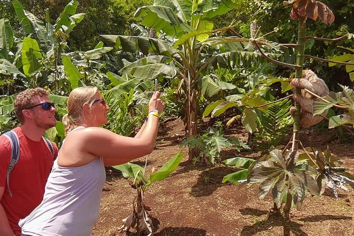Miravalles & Tenorio Private Tour: Sloths, Waterfalls, Hanging Bridges & Mud Baths