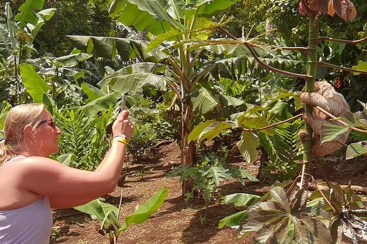 Private Sloth Encounter, Llanos de Cortés Waterfall & Corobici River Float — Full-Day Tour from Playa Hermosa photo 3