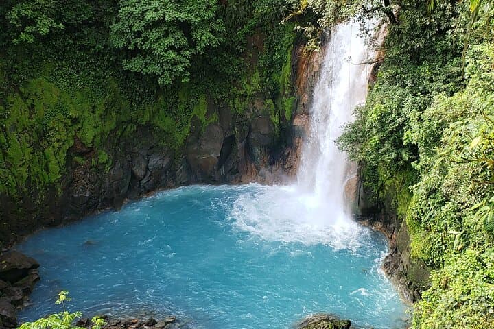 Rio Celeste Nature Hike — Tenorio’s Blue River Walk & Wildlife Viewing photo 2