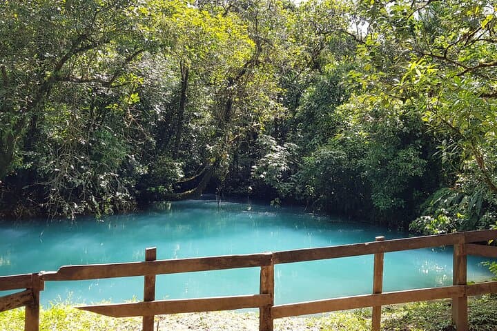 Rio Celeste Nature Hike — Tenorio’s Blue River Walk & Wildlife Viewing photo 5