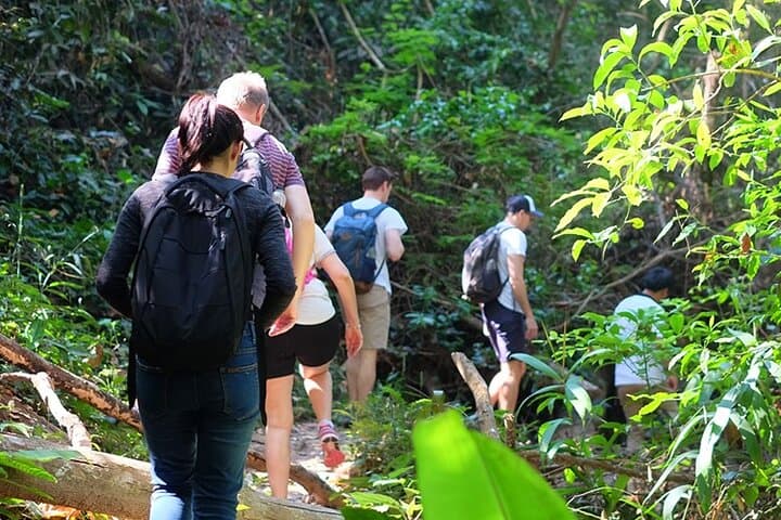 Doi Suthep Trek: Market, Temple and Waterfall Hike from Chiang Mai photo 2