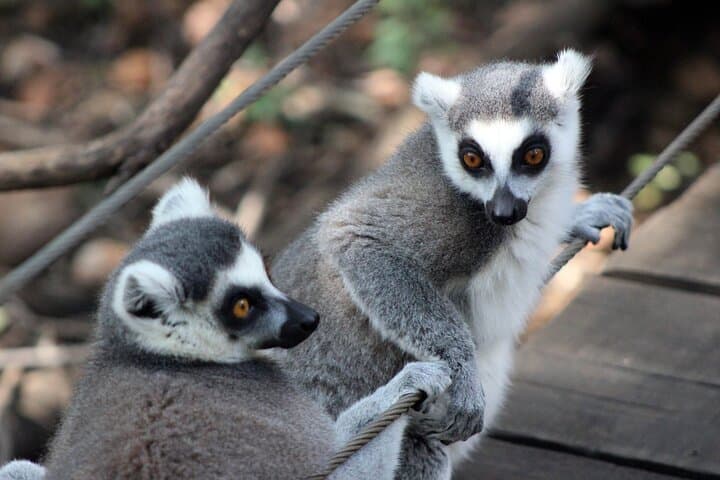 Hartbeespoort Dam & Magaliesberg Private Day Tour from Johannesburg photo 6